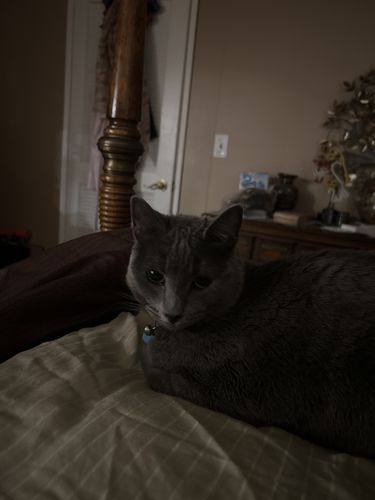 Customer photo review of Beach Silicone