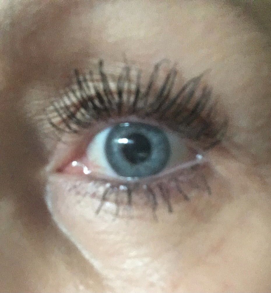 Customer photo review of Castor Lash & Brow