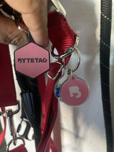 Customer photo review of Pink