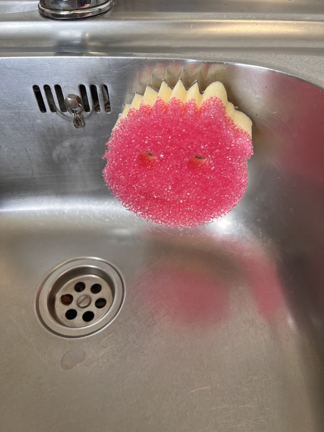 Customer photo review of Scrub Daddy Family (6 Pack)