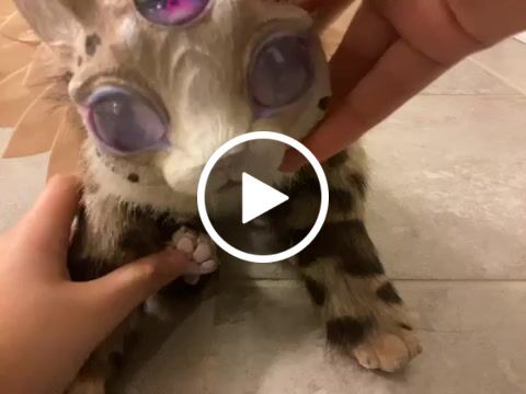 Customer video review of Customize your creature!