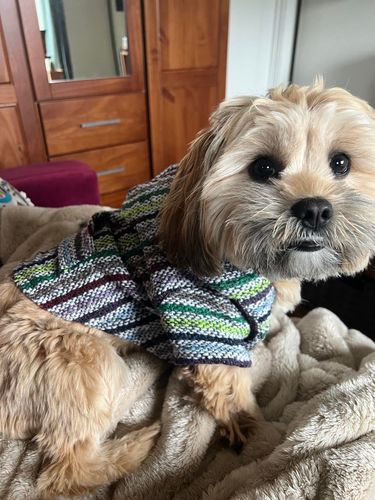 Customer photo review of Playa Poncho - Surprise Color