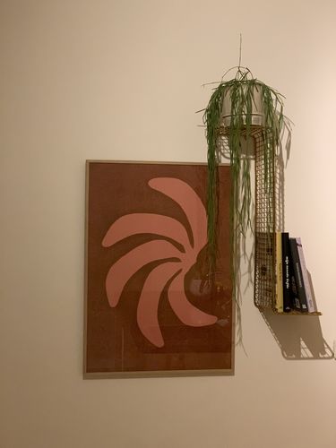 Customer photo review of Reviews