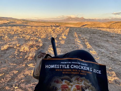 Customer photo review of Homestyle Chicken & Rice