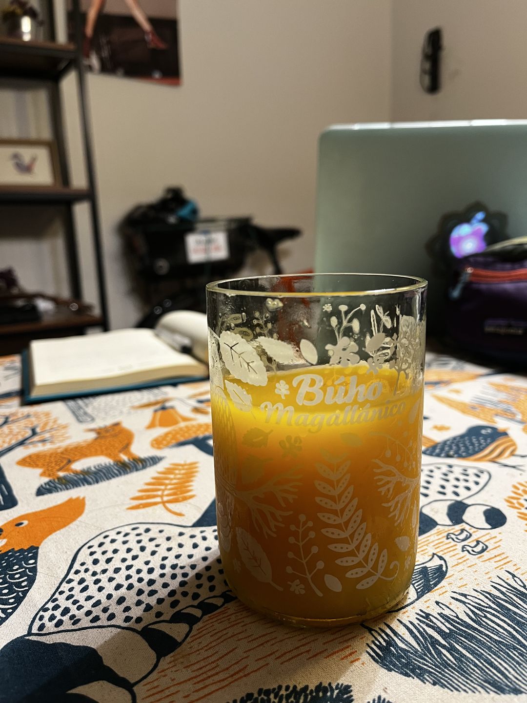 Customer photo review of Aves de Chile Juego de 4 Vasos