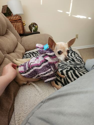 Customer photo review of Playa Poncho - Surprise Color