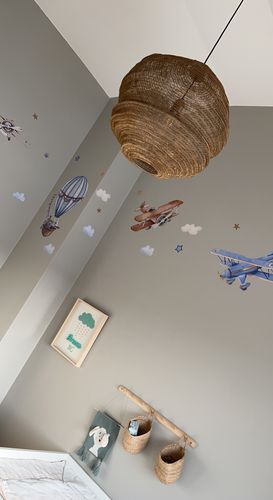 Customer photo review of Airplanes