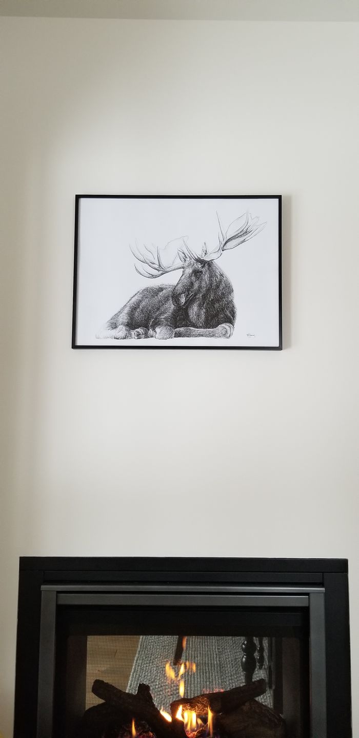 Customer photo review of Majestic Moose