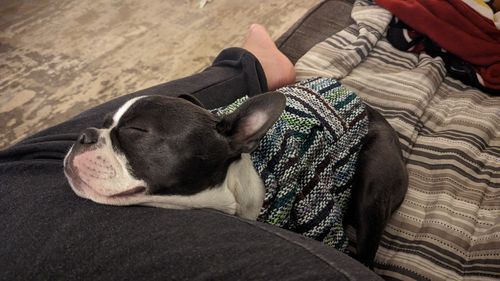 Customer photo review of Playa Poncho - Surprise Color