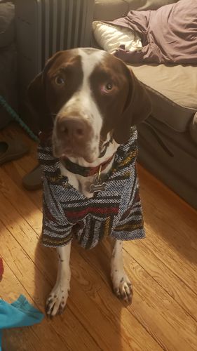 Customer photo review of Playa Poncho - Surprise Color