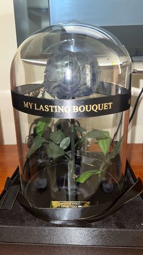 Customer photo review of Black Lasting Belle
