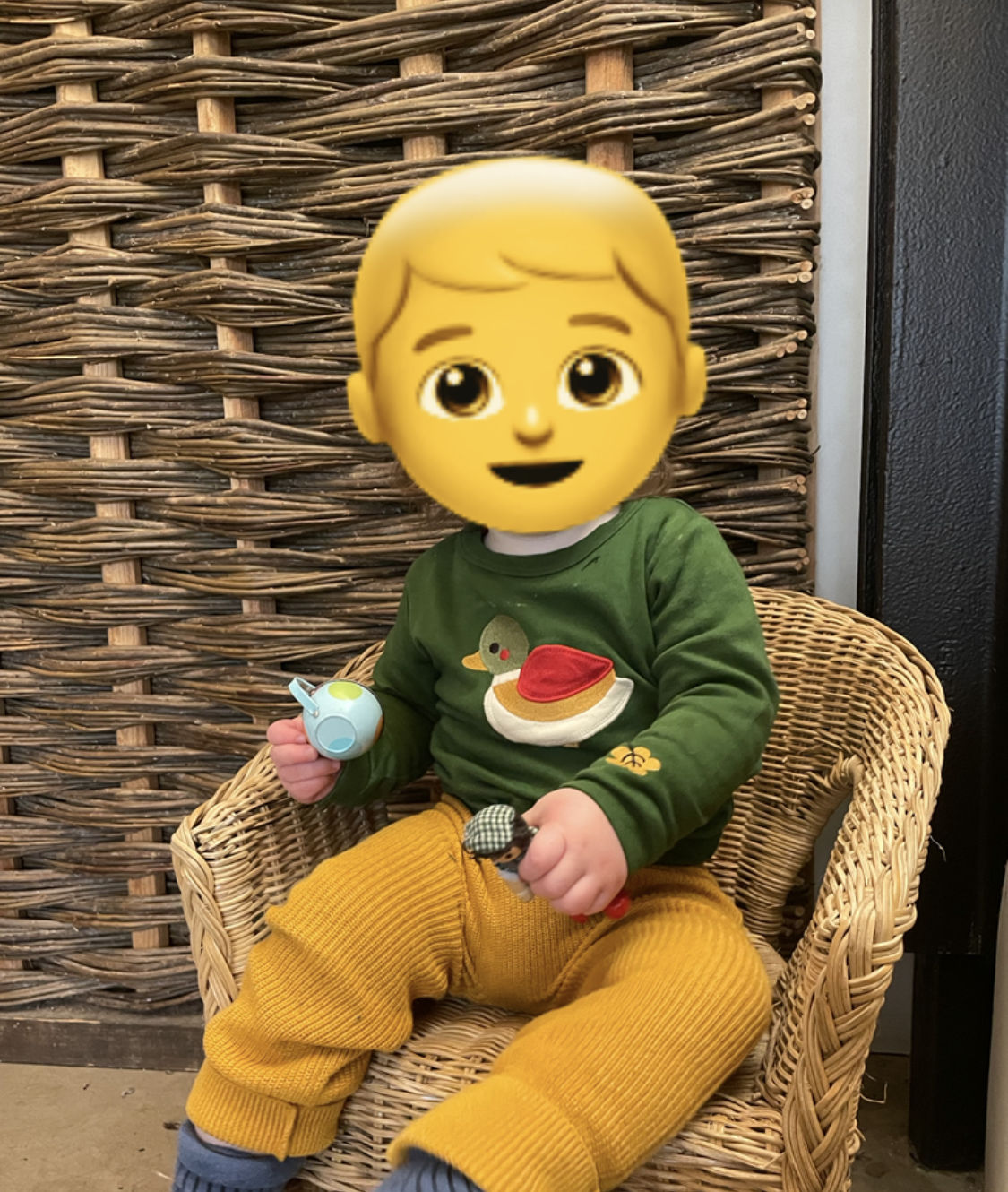 Customer photo review of Little Duck Applique Long Sleeve T-Shirt