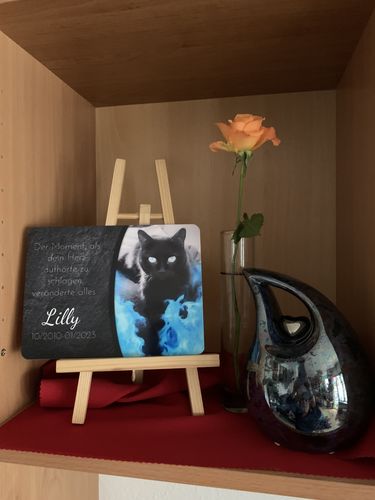Customer photo review of Katzen Gedenktafel mit Foto & Spruch