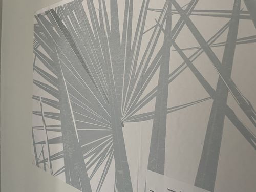 Customer photo review of Paradiso in Ocean Wallpaper