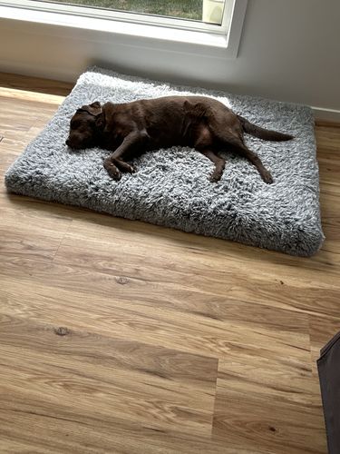 Customer photo review of PaWz  Multimat