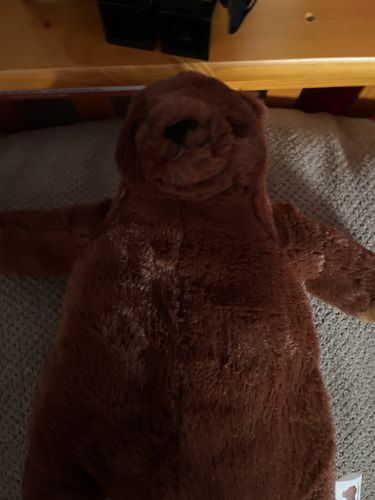 Customer photo review of SKOGGY BEAR