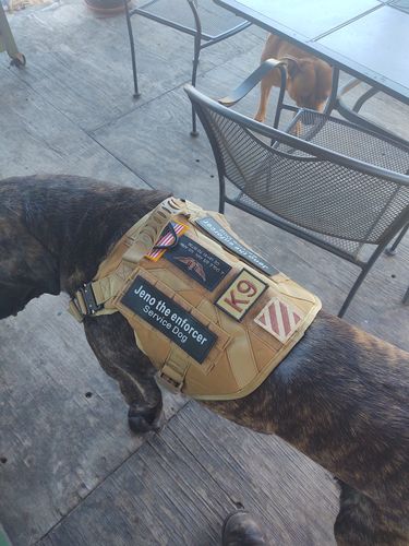 Customer photo review of Custom Hook & Loop Patch For Harness (1 Pair)