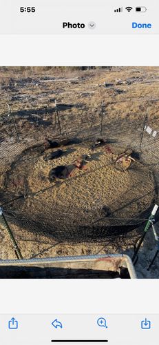 Customer photo review of Pig Brig Trap System