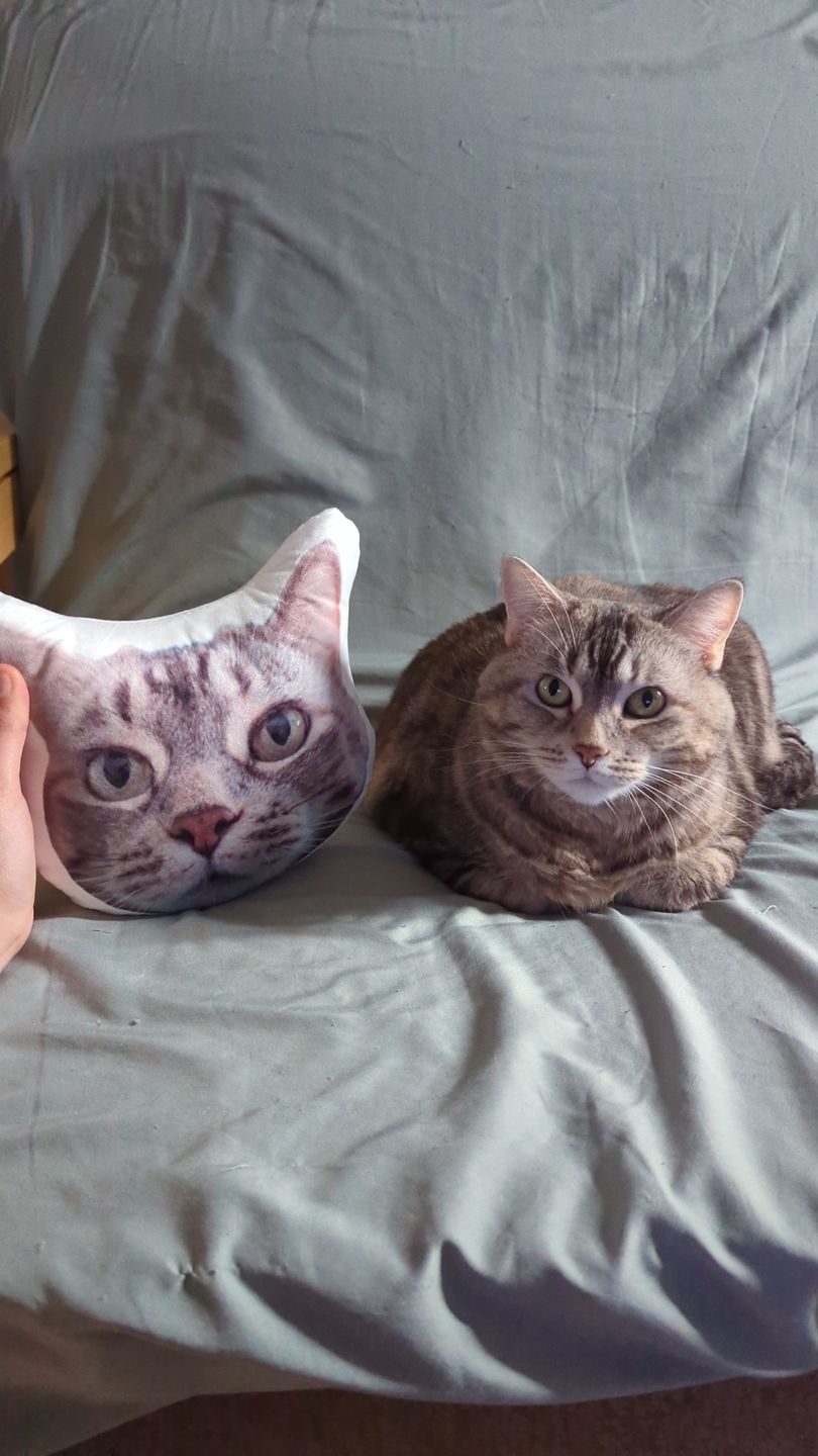 Customer photo review of Custom Pet Face Shaped Pillow from Your Pet Photos, Customized Pet Head Pillows