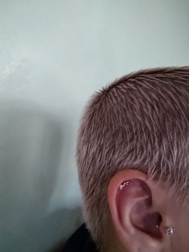 Customer photo review of Piercing Flora Or Rose