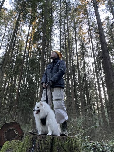 Customer photo review of Vintage Marithe Francois Girbaud Cargo Pants Size 40 x 32