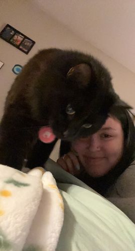 Customer photo review of Pink