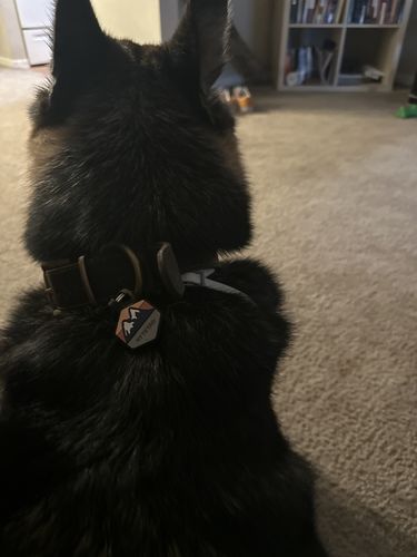 Customer photo review of Explorer Silicone