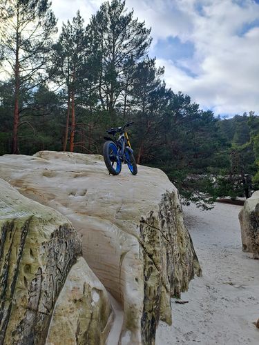 Customer photo review of Lankeleisi RV700 1000W 26" Fat Bike Dual Crown Fork E-Mountain Bike 16Ah 130km 30km/h [Pre-order]