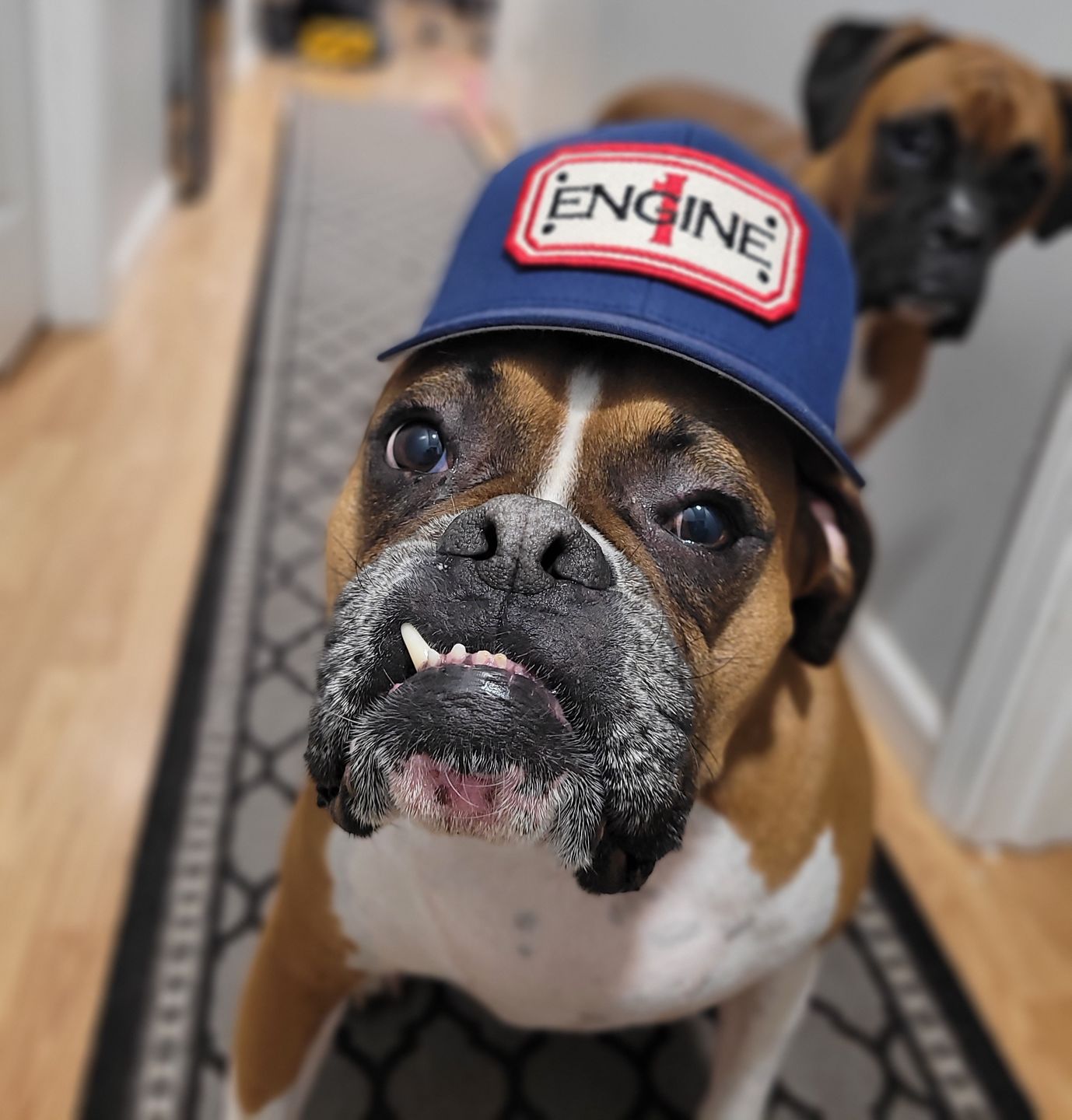 Customer photo review of "LAYOVER DESIGN" with custom back of hat