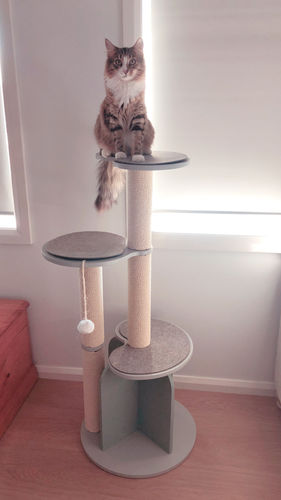 Customer photo review of Michu Vigour Party Cat Tree, Modern Lifestyle Cat Furniture, 105cm Height