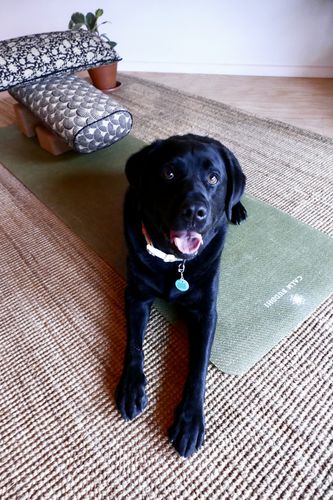 Customer photo review of Grounding Yoga Mat