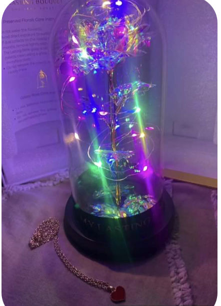 Customer photo review of Galaxy LED Rose Dome