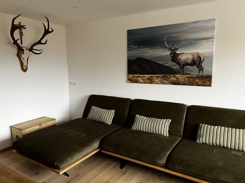 Customer photo review of Leinwandbild | Hirsch in der Herbstzeit | Querformat