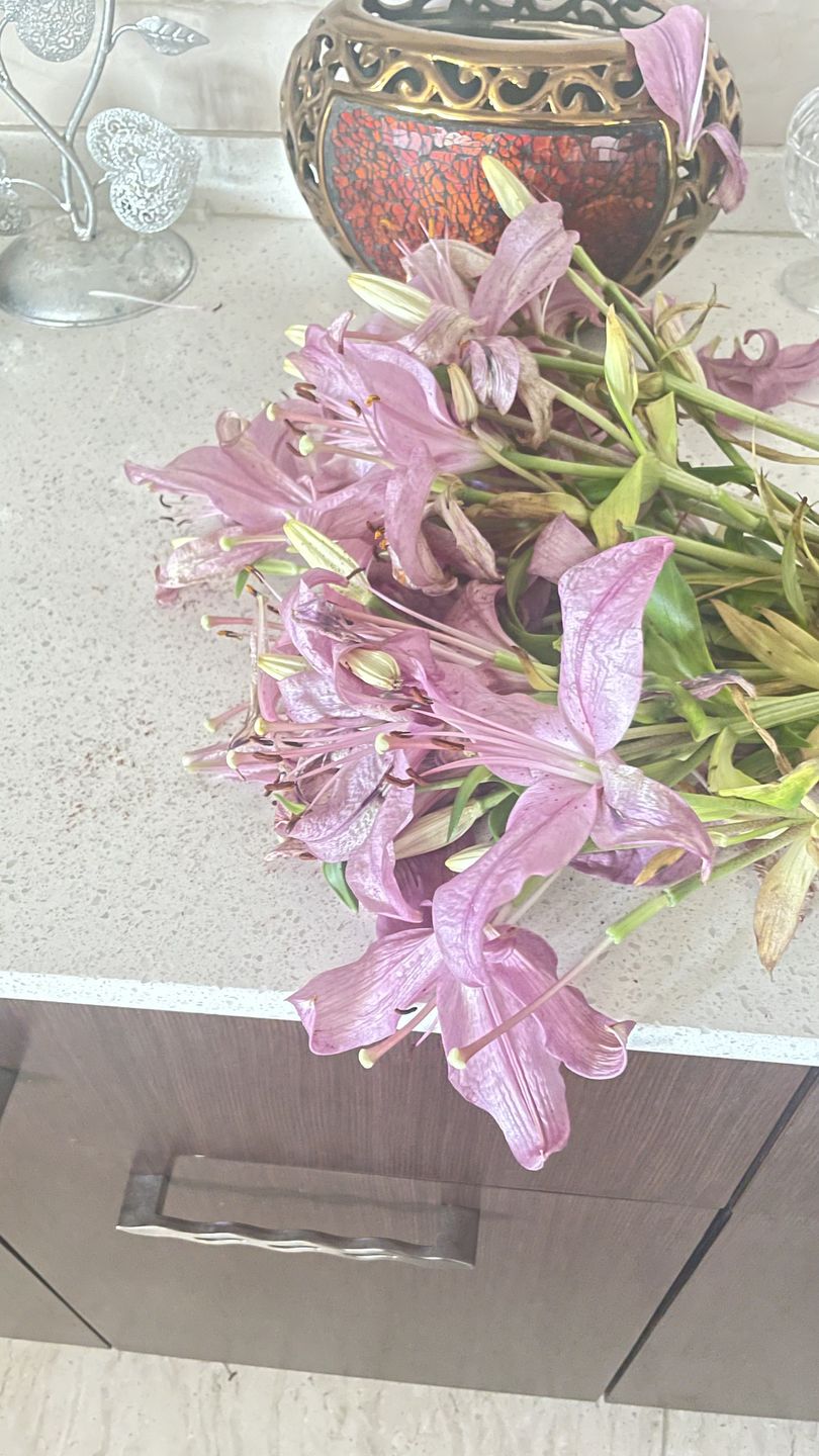 Customer photo review of Asiatic Lily