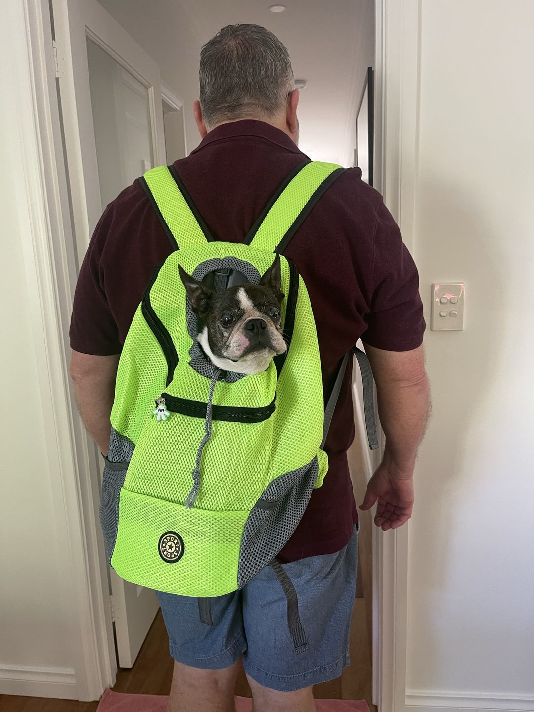 Customer photo review of Dog Backpack
