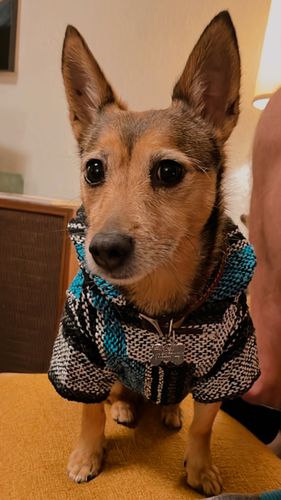 Customer photo review of Playa Poncho - Surprise Color