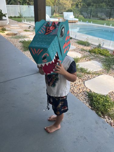 Customer photo review of REX- 3D Cardboard Mask