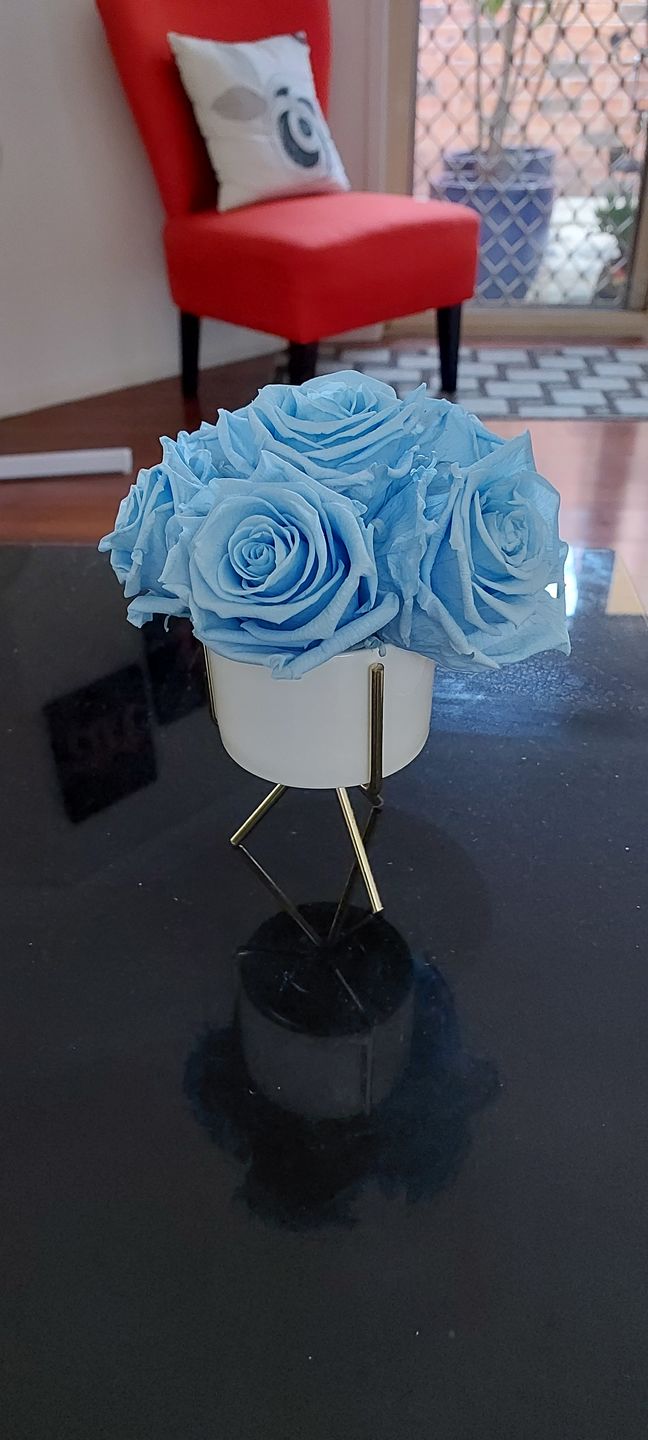 Customer photo review of A Lasting Joli