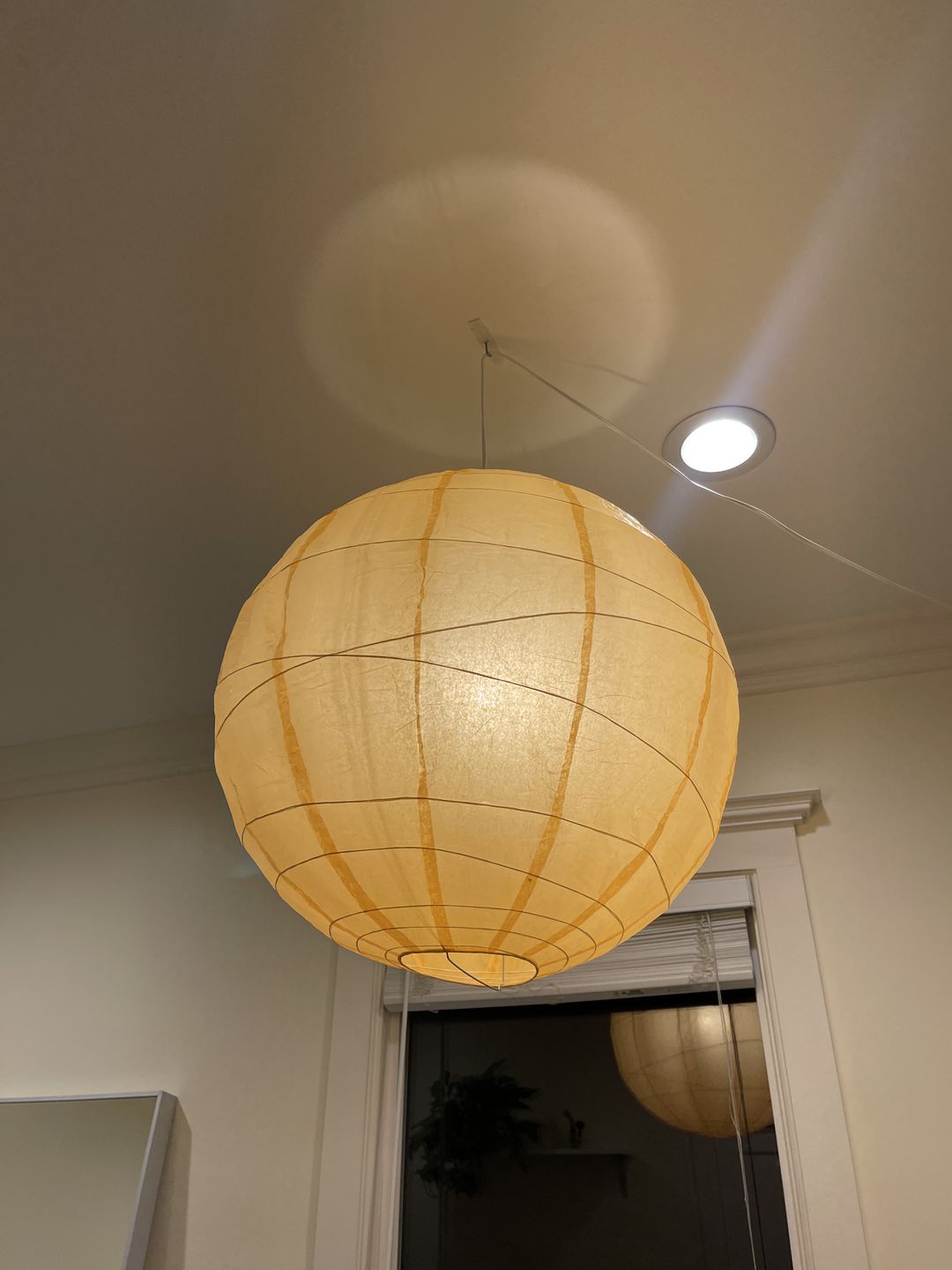 Customer photo review of 24" Papaya Round Paper Lantern, Crisscross Ribbing, Chinese Hanging Wedding & Party Decoration