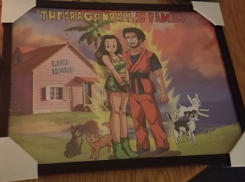 Customer photo review of Dragon Ball Z Style Custom Portrait