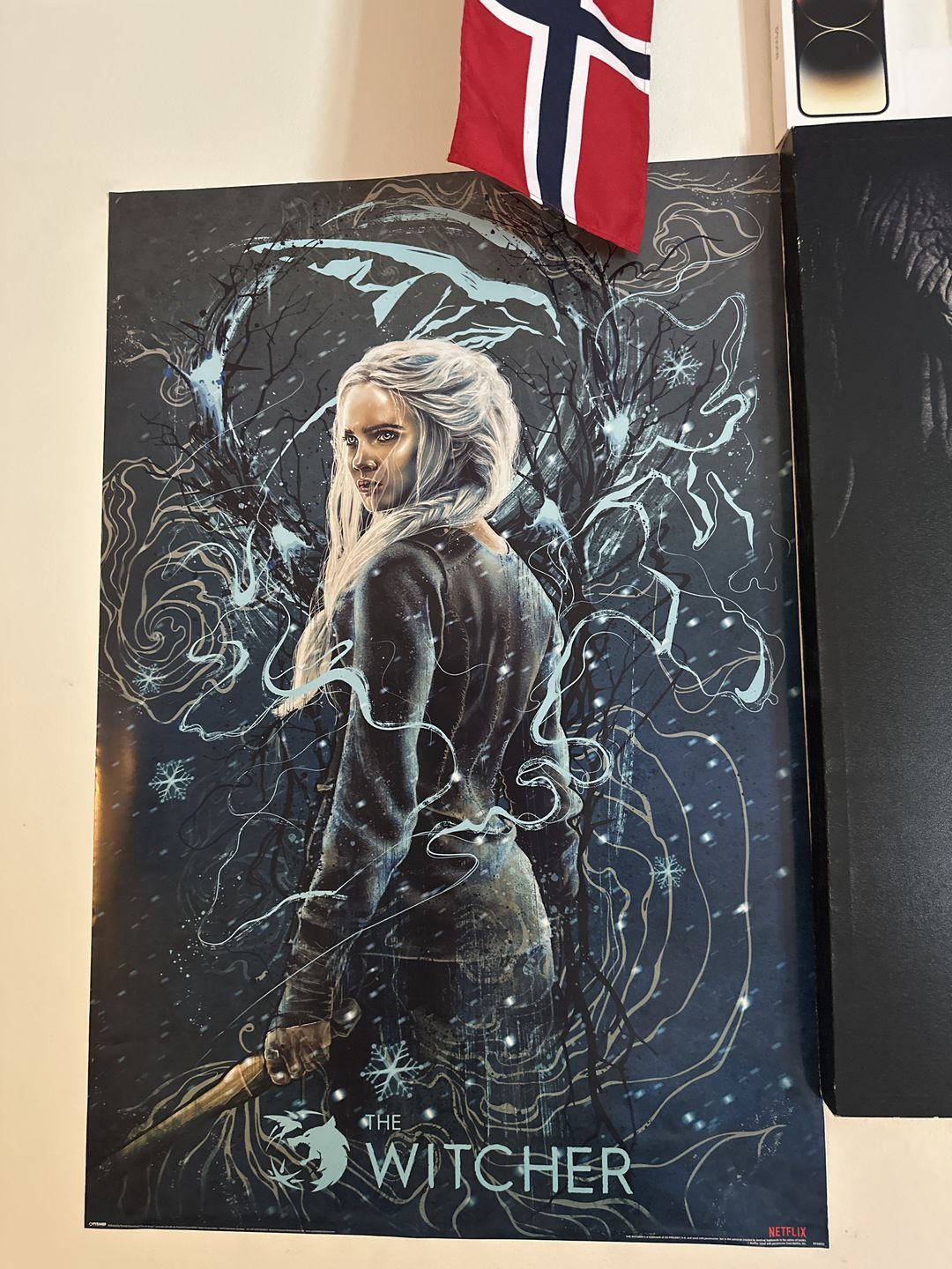 Customer photo review of The Witcher Plakat Ciri The Swallow