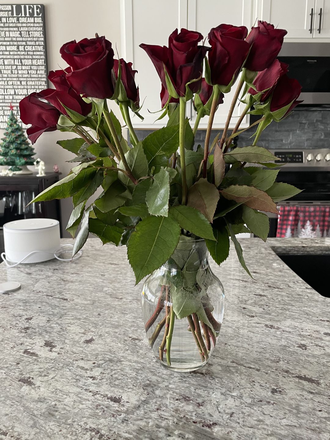 Customer photo review of Black Magic Red Rose