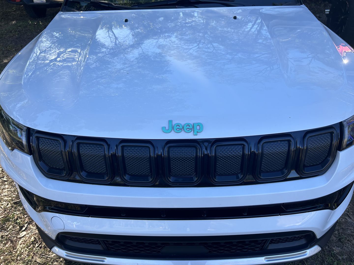 Customer photo review of JEEP Emblem Overlay Decals – Solid Colors | Fits 2014+ Jeep Compass