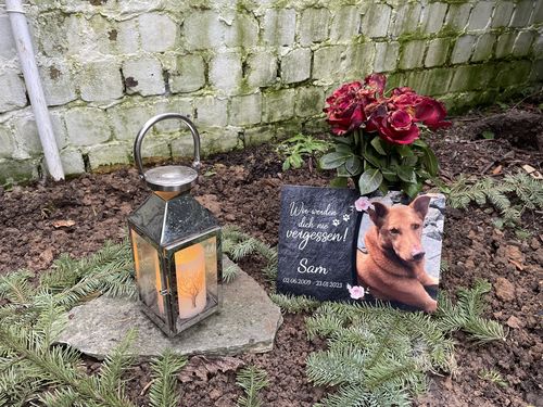 Customer photo review of Hunde Gedenktafel mit Foto & Spruch