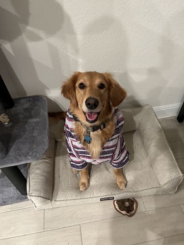 Customer photo review of Playa Poncho - Surprise Color