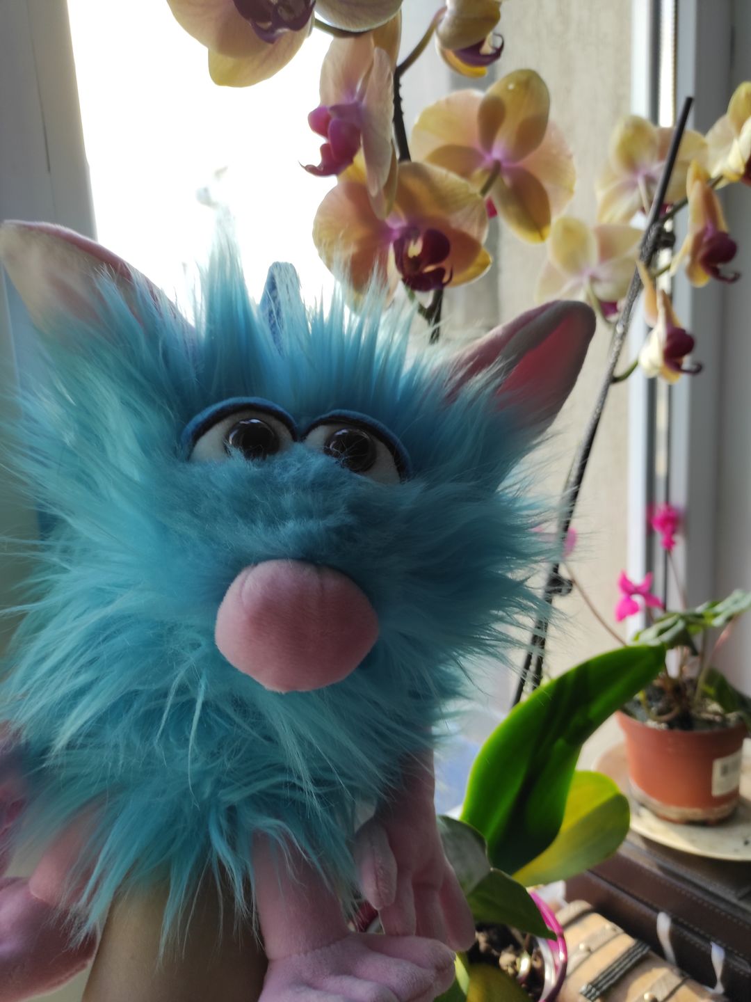 Customer photo review of Marionnette Schorsch Monstre Bleu