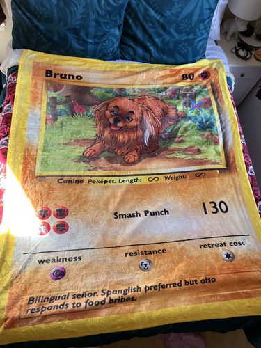 Customer photo review of Number of Pokepets and Trainers