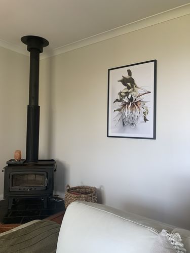 Customer photo review of King Protea I