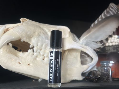 Customer photo review of Memento Mori