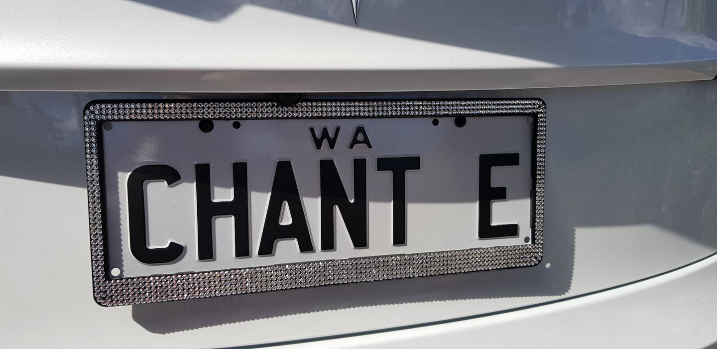 Customer photo review of Bling Number Plate Frames